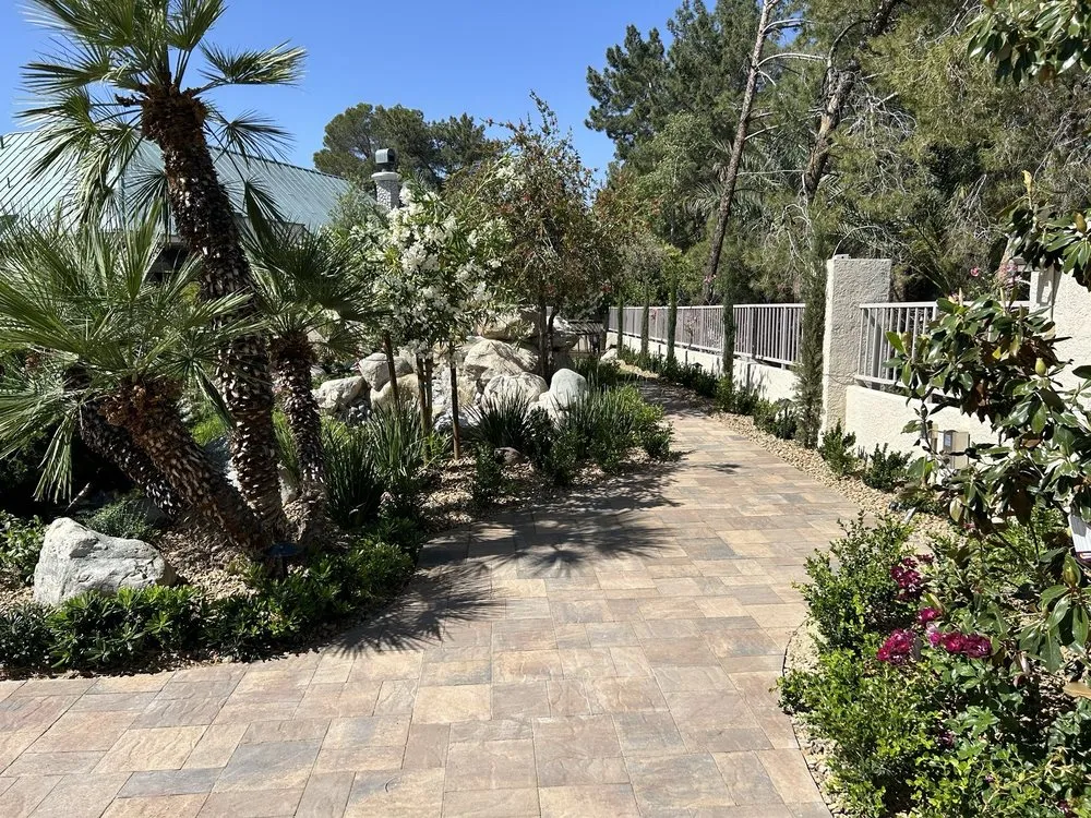 Reliable yard cleanup service in Henderson, NV - Centerpoint Landscaping