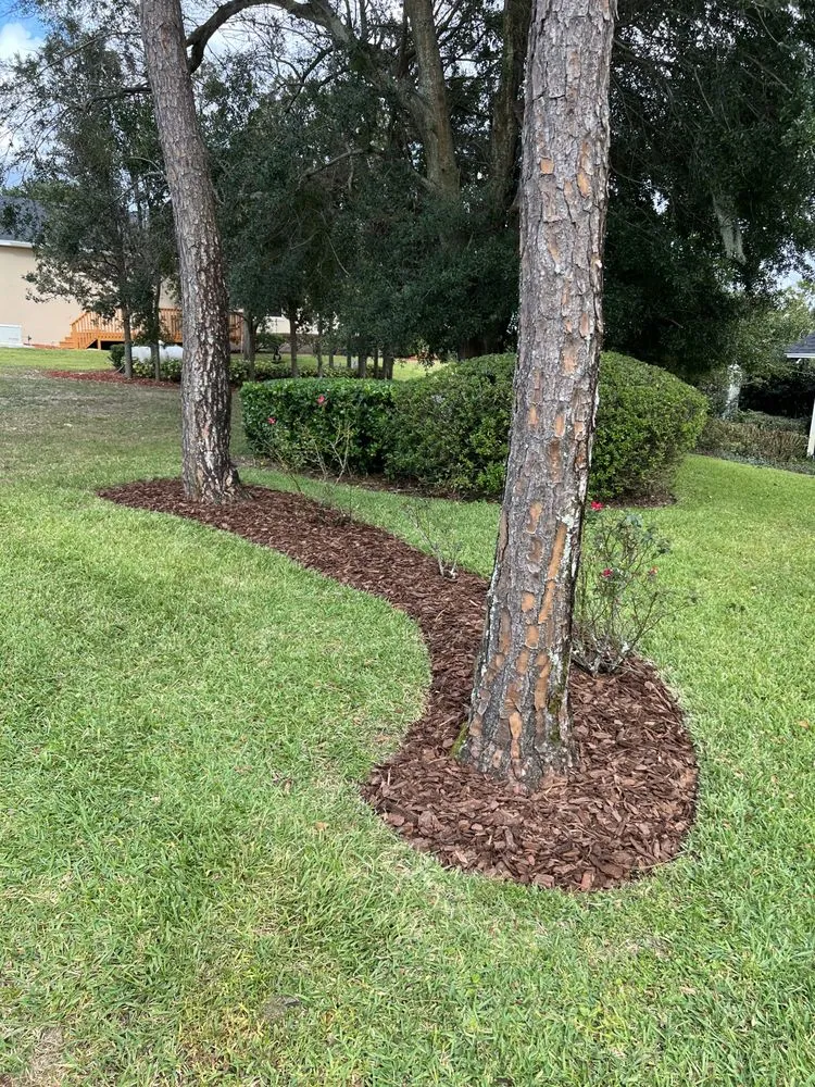 Trusted yard cleanup service in Lake Wales, FL - Centerpoint lawn and environmental