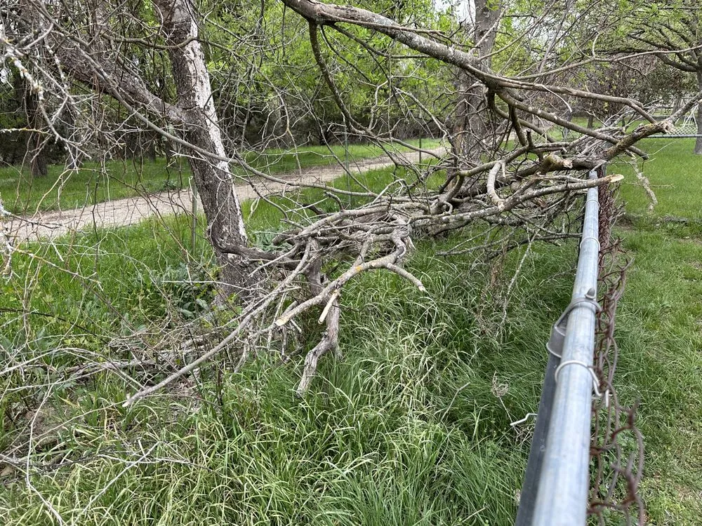 Reliable yard cleanup service experts serving Copperas Cove, TX - Centex Agricultural Designs