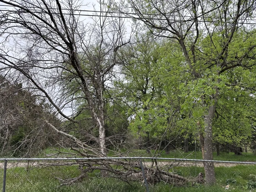 Trusted landscape design for homes in Copperas Cove, TX by Centex Agricultural Designs