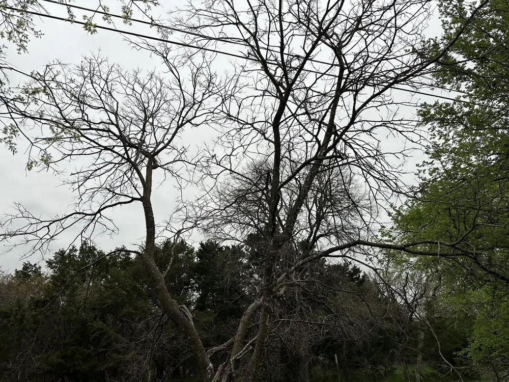 Professional landscaping services in Copperas Cove, TX by Centex Agricultural Designs