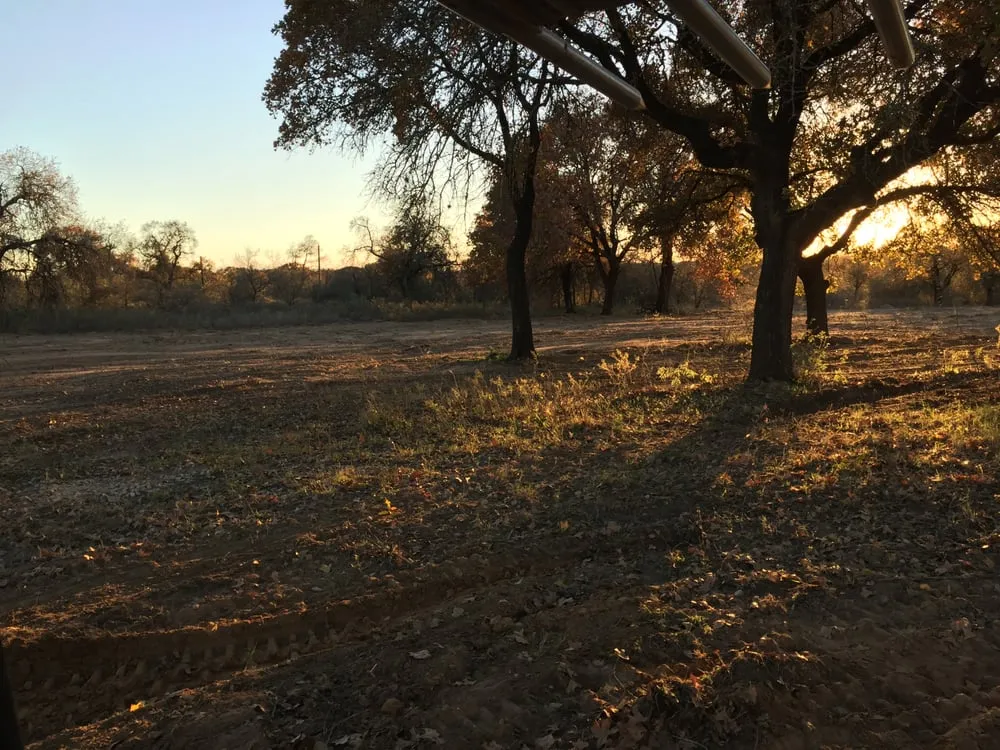 Trusted landscape design with custom design across San Marcos, TX - CenTex Land Clearing