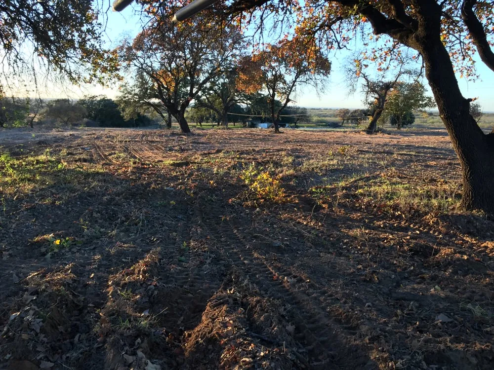 Local lawn care service in San Marcos, TX by CenTex Land Clearing