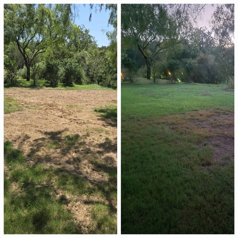 Local yard maintenance experts serving Liberty Hill, TX - CenTex Yard Services