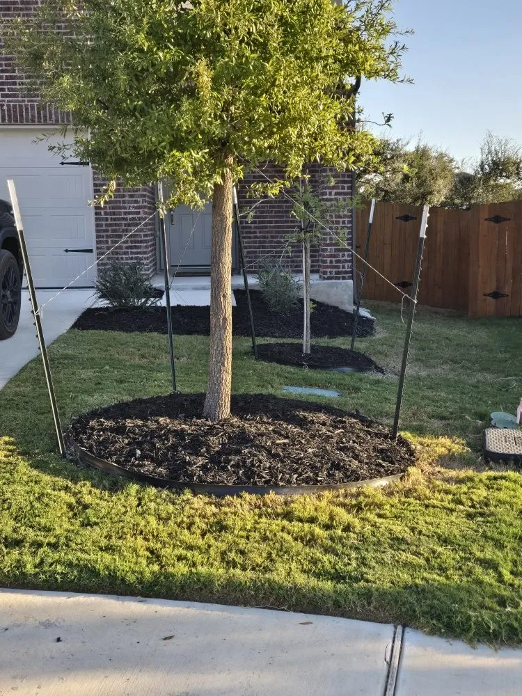 Expert lawn mowing service with custom design in Liberty Hill, TX by CenTex Yard Services