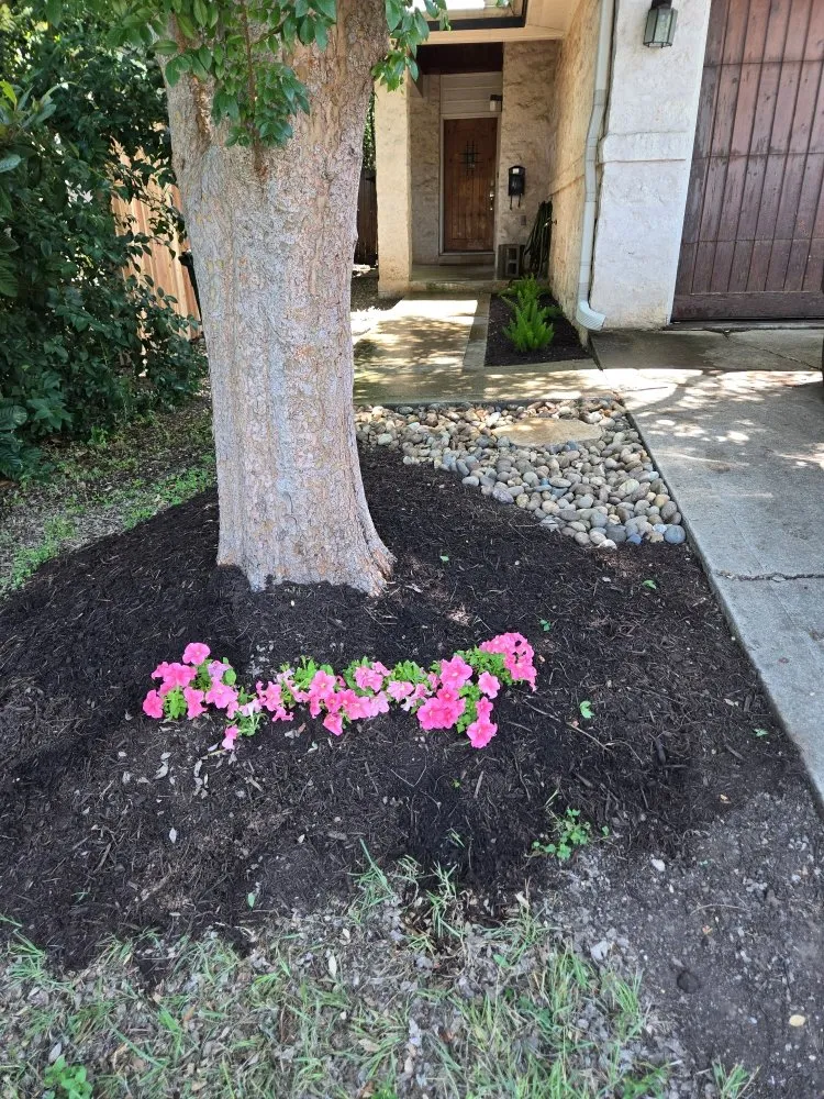 Trusted landscape installation experts serving Liberty Hill, TX - CenTex Yard Services