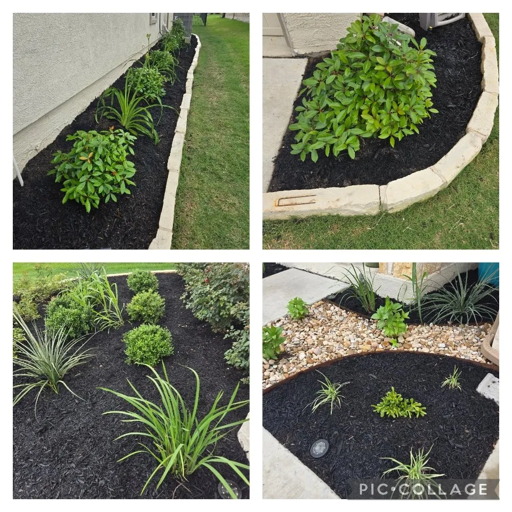 Expert yard cleanup service in Liberty Hill, TX by CenTex Yard Services