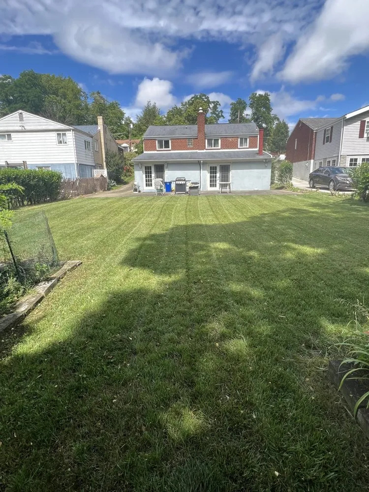 Reliable yard cleanup service in Pittsburgh, PA by Centillion Landscaping