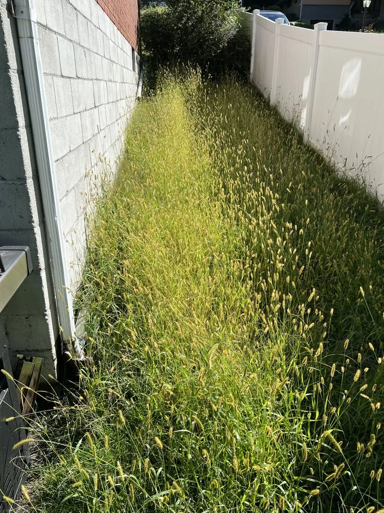 Local outdoor landscaping in Pittsburgh, PA - Centillion Landscaping