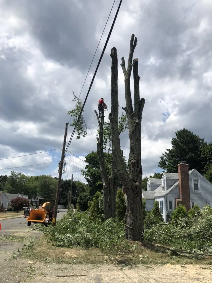 Reliable residential landscaping experts serving New Haven, CT - Centi's Landscaping