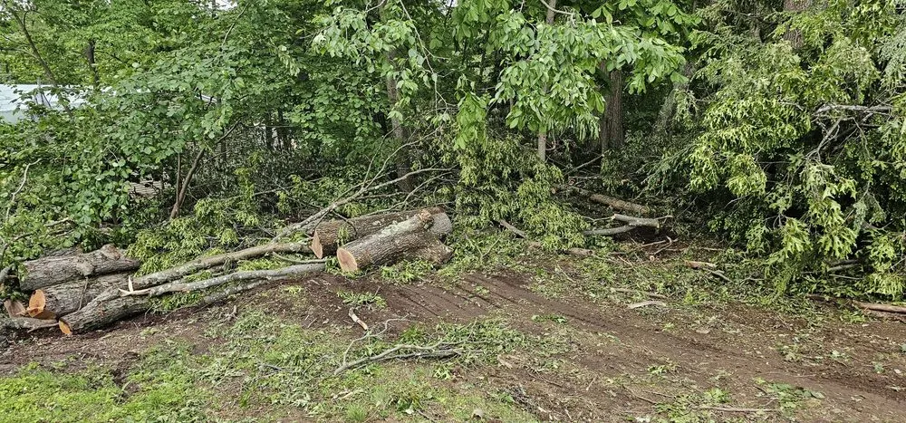 Professional landscaping services for beautiful yards across New Haven, CT - Centi's Landscaping