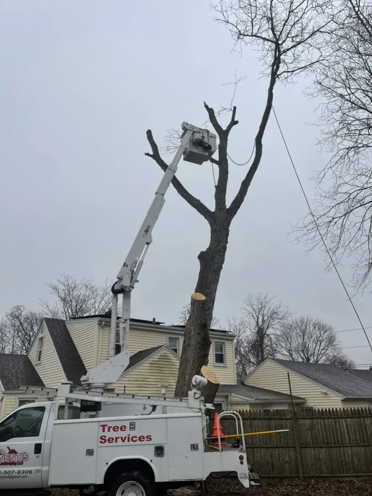 Top-rated lawn mowing service in New Haven, CT by Centi's Landscaping