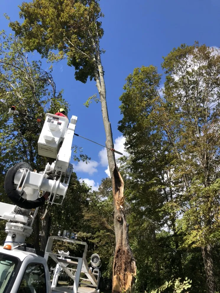 Affordable landscape installation experts serving New Haven, CT - Centi's Landscaping