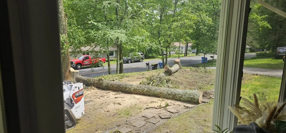 Trusted yard maintenance in New Haven, CT - Centi's Landscaping