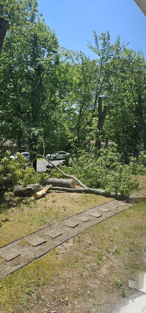 Custom lawn mowing service with custom design in New Haven, CT by Centi's Landscaping