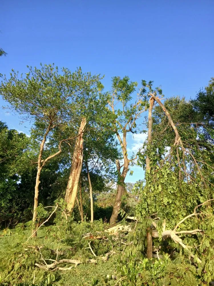 Expert lawn care service for homes across Apopka, FL - Centra Flo