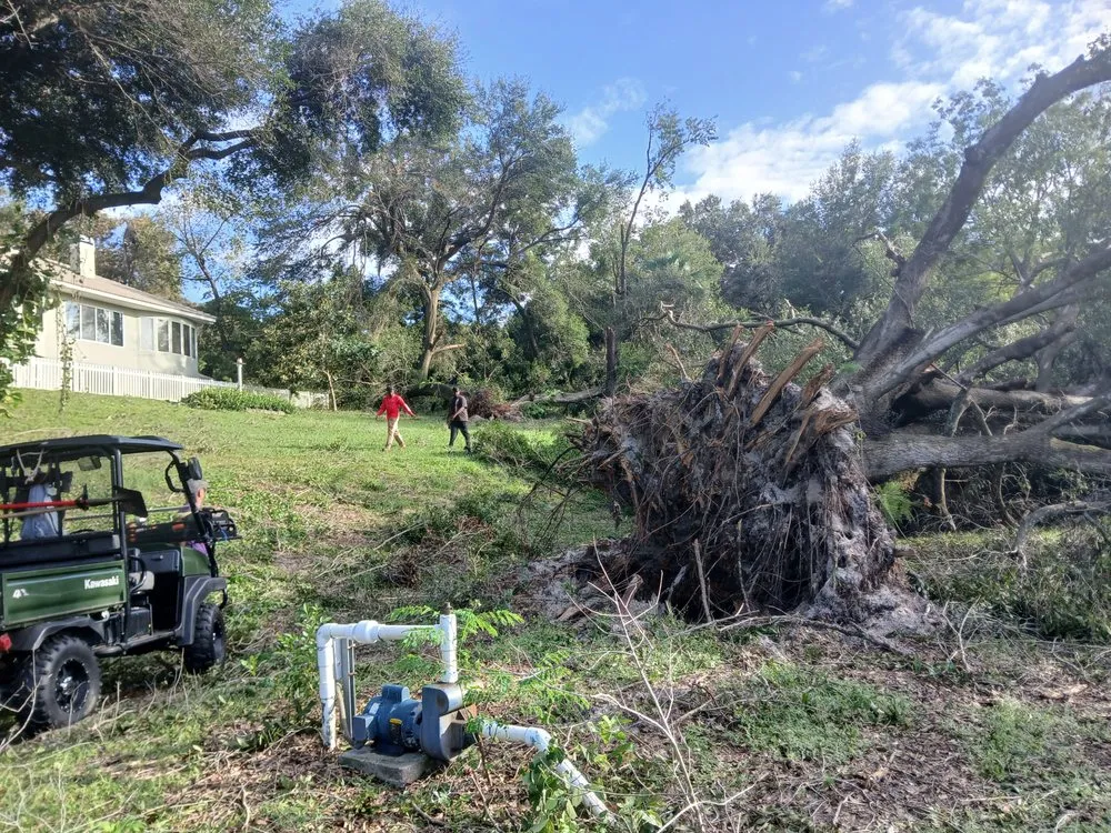 Custom outdoor landscaping experts serving Apopka, FL - Centra Flo