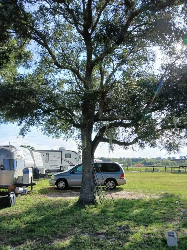 Reliable landscape installation in Apopka, FL by Centra Flo