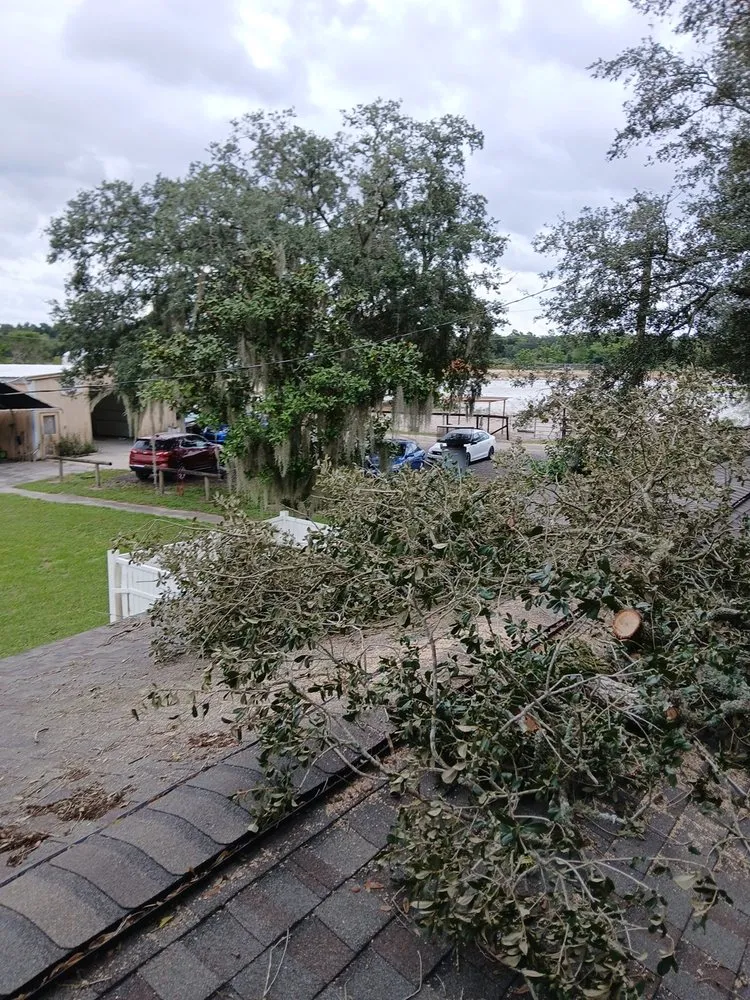 Reliable yard maintenance in Apopka, FL - Centra Flo