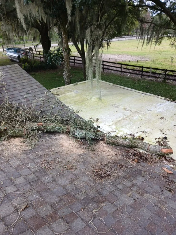 Reliable landscaping services in Apopka, FL - Centra Flo