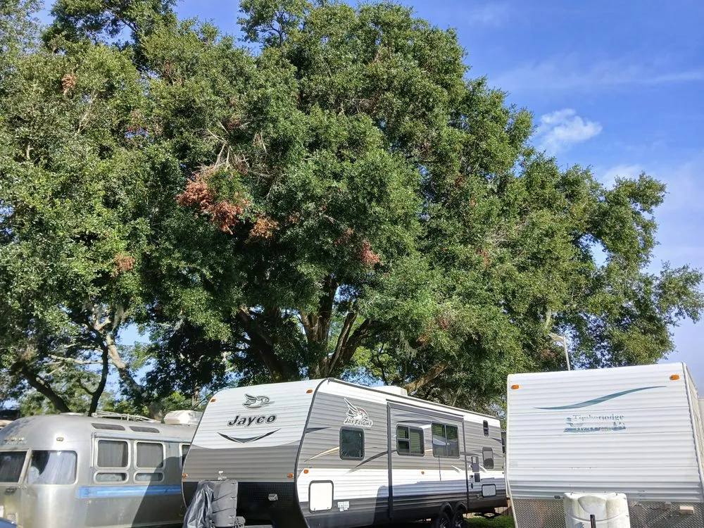 Trusted landscape design for homes in Apopka, FL by Centra Flo