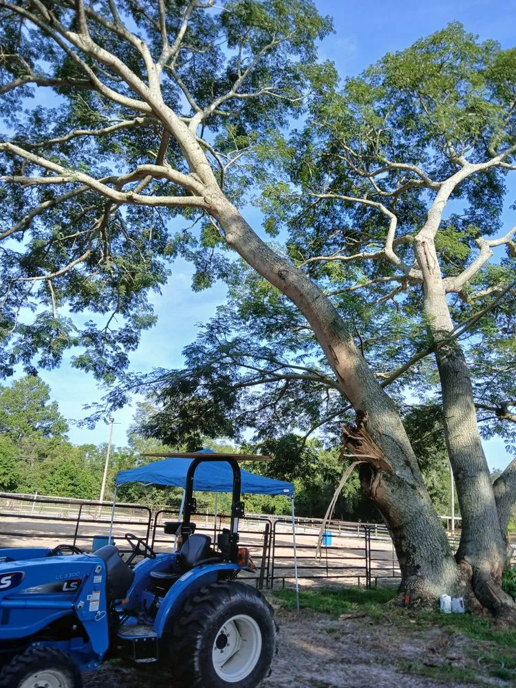 Reliable residential landscaping for homes in Apopka, FL by Centra Flo