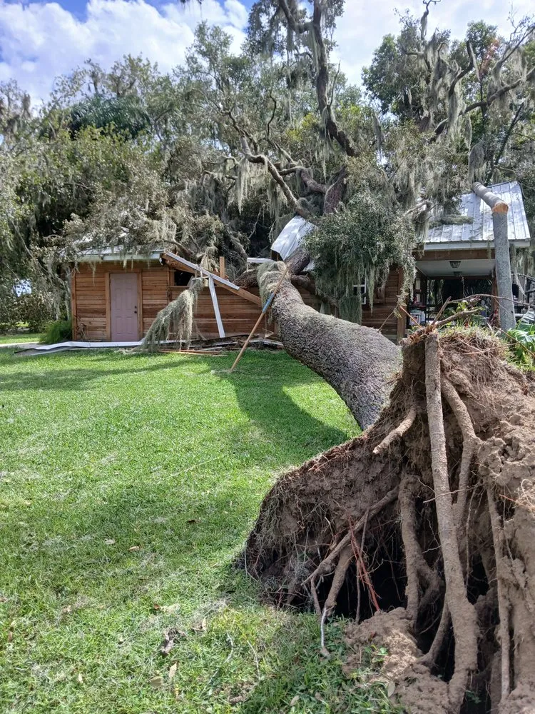 Expert outdoor landscaping for outdoor upgrades in Apopka, FL by Centra Flo