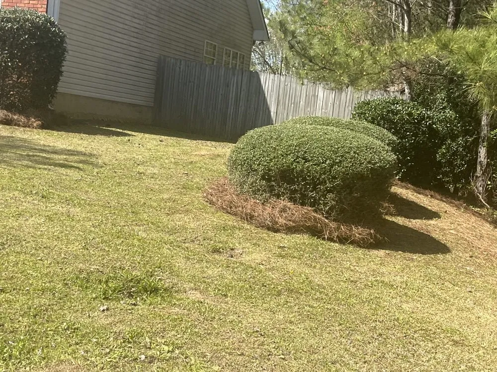 Custom landscape installation in Calera, AL by Central Alabama Outdoor Depot