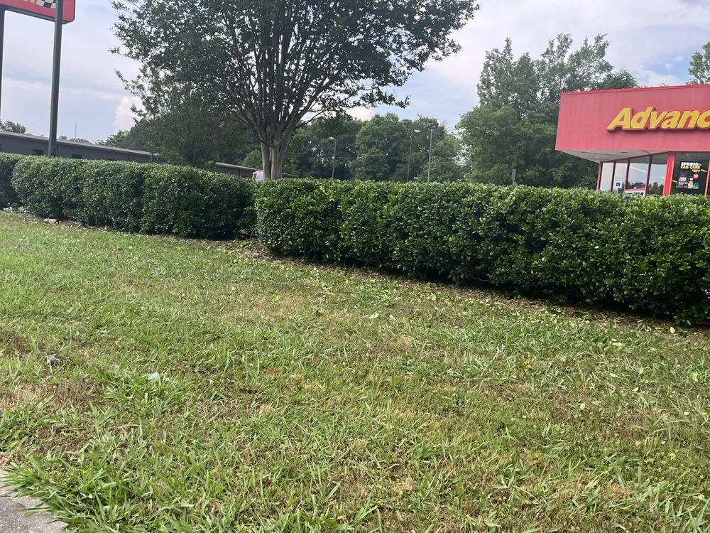 Expert residential landscaping experts serving Calera, AL - Central Alabama Outdoor Depot