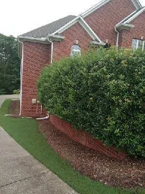 Local landscaping services in Calera, AL by Central Alabama Outdoor Depot
