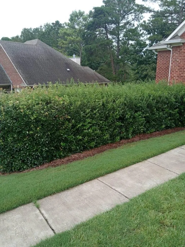 Trusted lawn mowing service with custom design in Calera, AL by Central Alabama Outdoor Depot