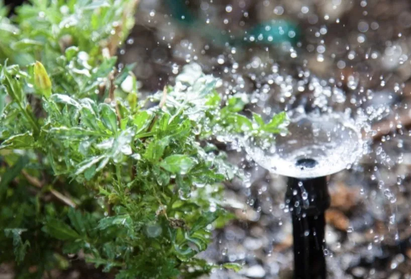 Local yard cleanup service for homes in Alabaster, AL by Central Alabama Services CAS