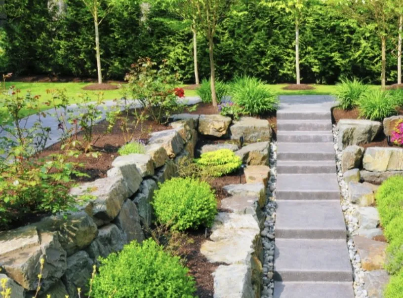 Trusted yard cleanup service near you across Alabaster, AL - Central Alabama Services CAS