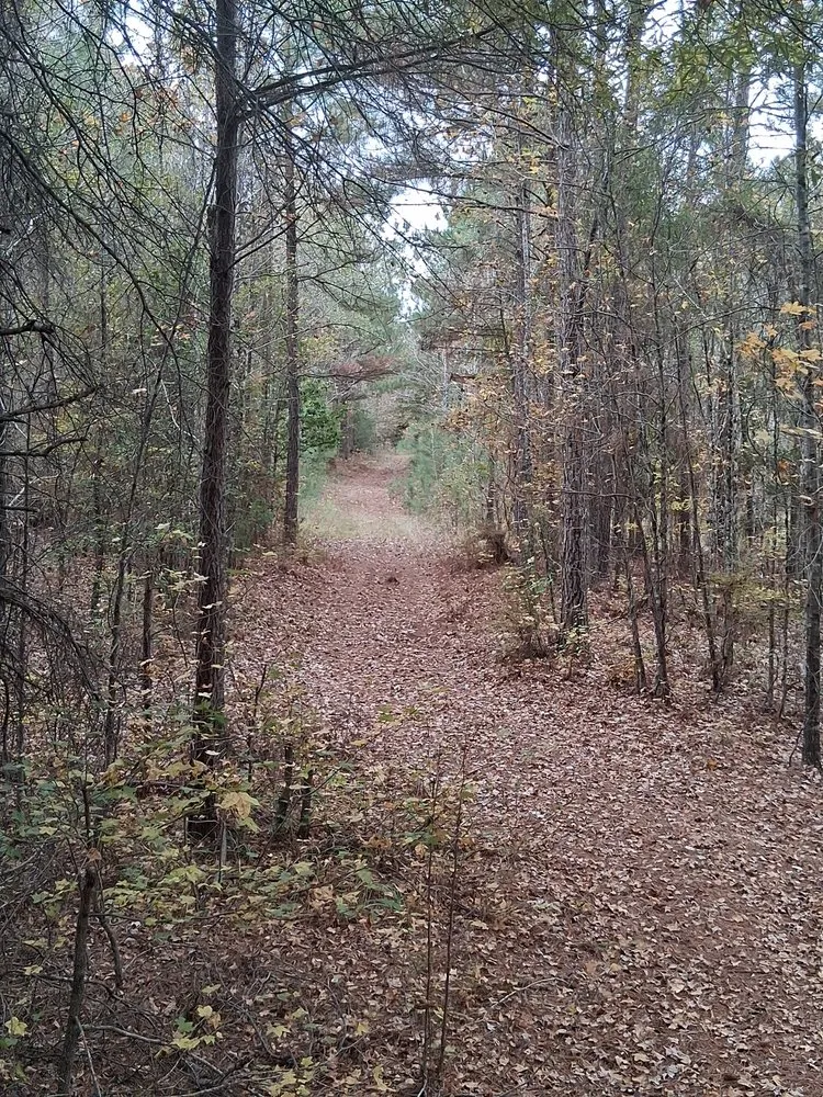 Top-rated residential landscaping in Bryant, AR - Central Arkansas Tractor and Land Services LLC