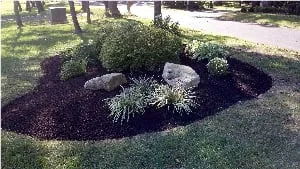 Affordable landscape design for homes across Doylestown, PA - Central Bucks Landscapers