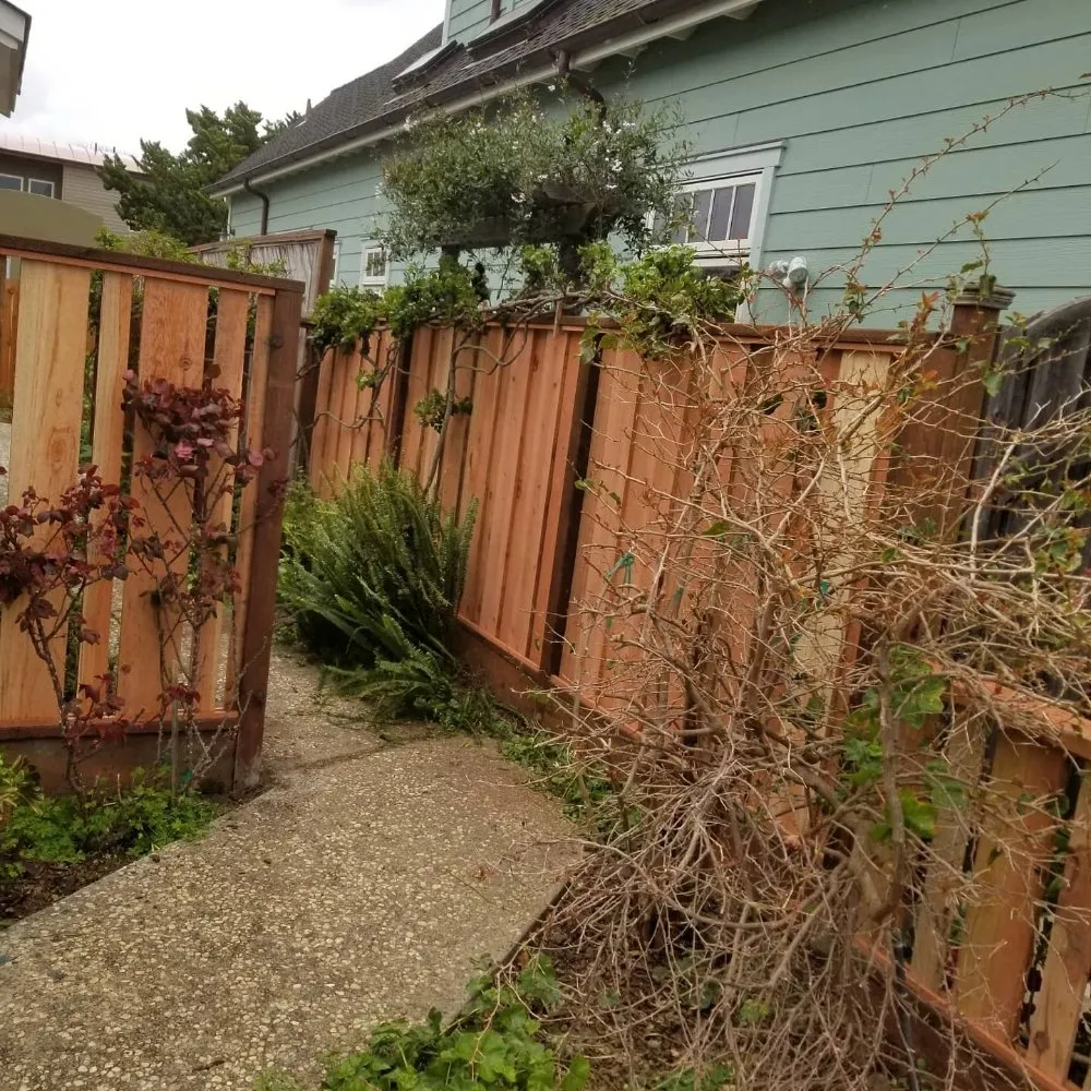 Top-rated garden landscaping in Watsonville, CA by Central Cal Landscaping