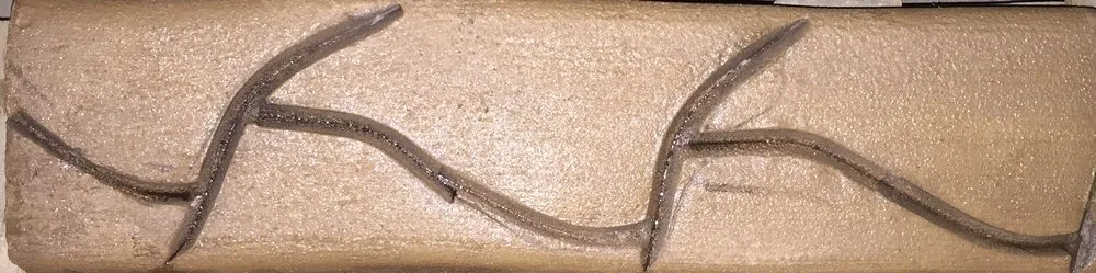 Expert residential landscaping in Lexington, SC - Central Carolina Curb & Landscape