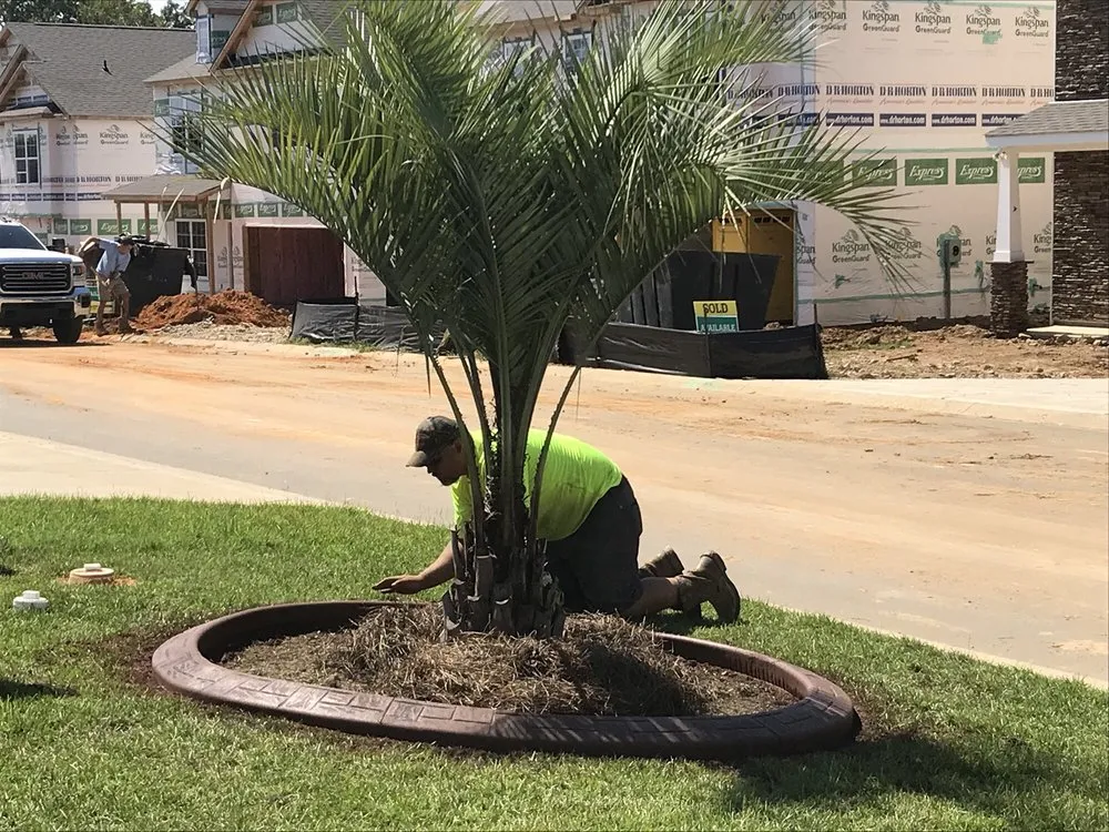 Reliable lawn mowing service for outdoor upgrades across Lexington, SC - Central Carolina Curb & Landscape