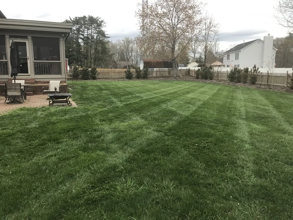 Affordable yard cleanup service in Thomasville, NC - Central Carolina Greenworks