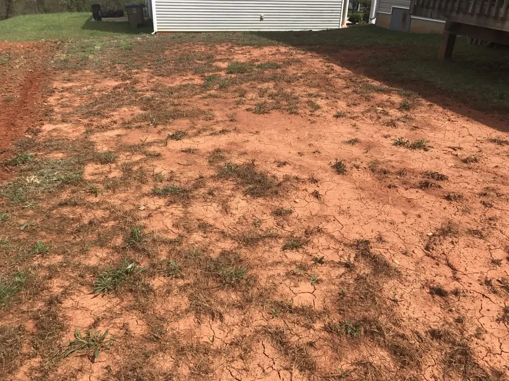 Local yard maintenance experts serving Thomasville, NC - Central Carolina Greenworks