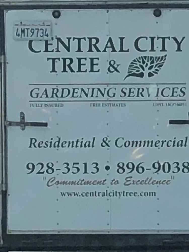 Reliable landscape design experts serving Santa Maria, CA - Central City Tree Service