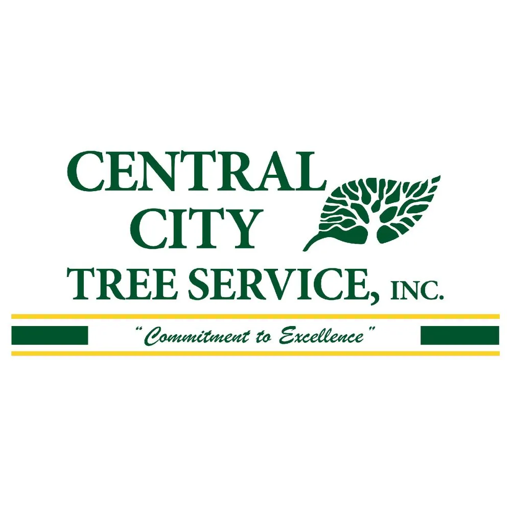 Professional outdoor landscaping near you in Santa Maria, CA by Central City Tree Service