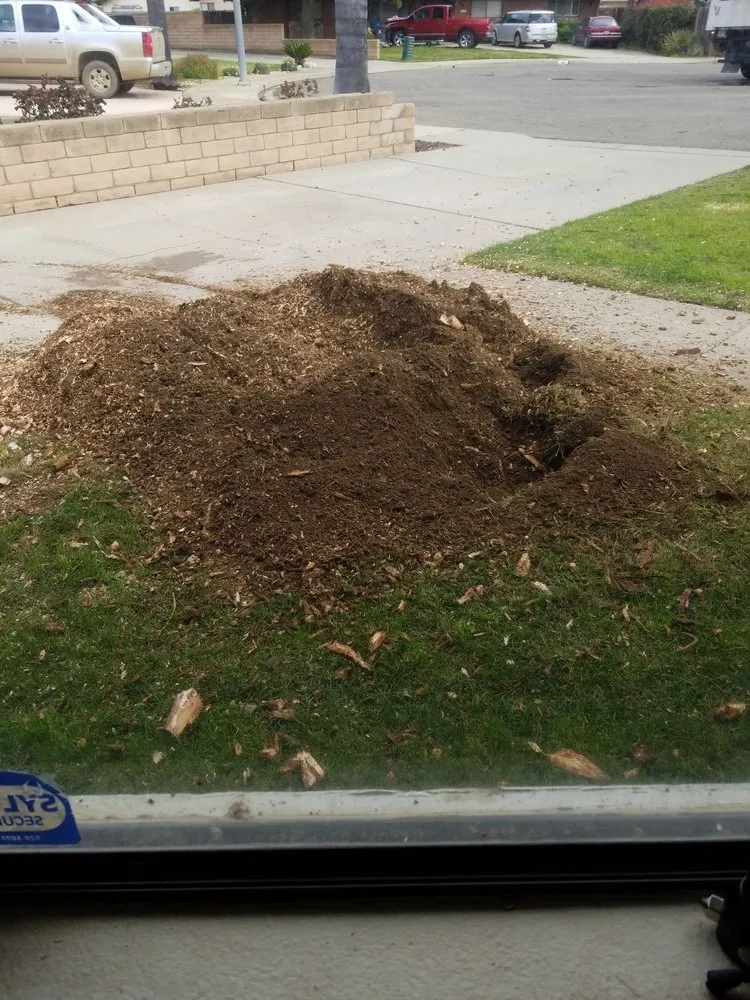 Affordable outdoor landscaping in Santa Maria, CA by Central City Tree Service