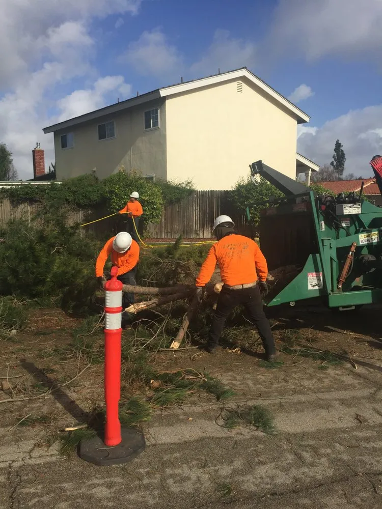 Custom garden landscaping in Santa Maria, CA - Central City Tree Service
