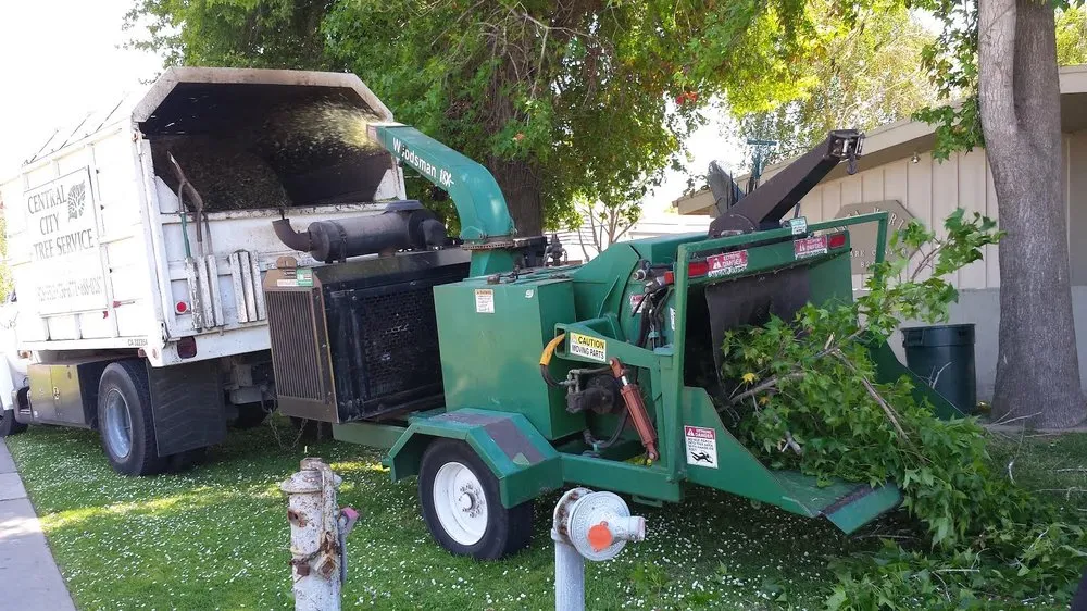 Custom outdoor landscaping for year-round maintenance in Santa Maria, CA by Central City Tree Service