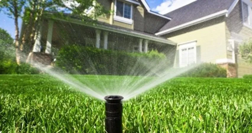 Local lawn mowing service for beautiful yards across Santa Maria, CA - Central City Tree Service