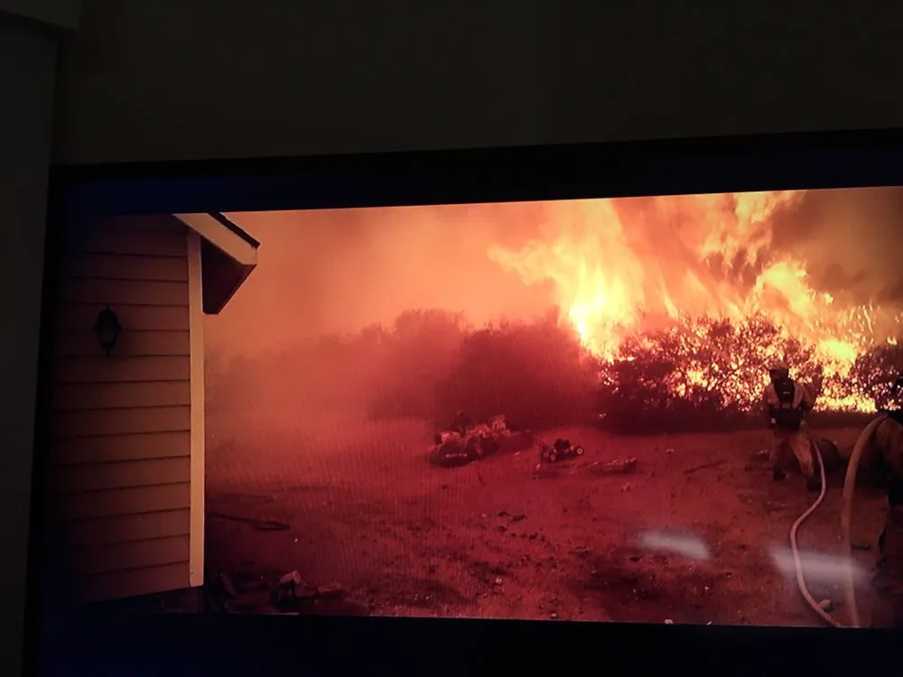 Expert yard cleanup service near you across Santa Barbara, CA - Central Coast Brush Clearing