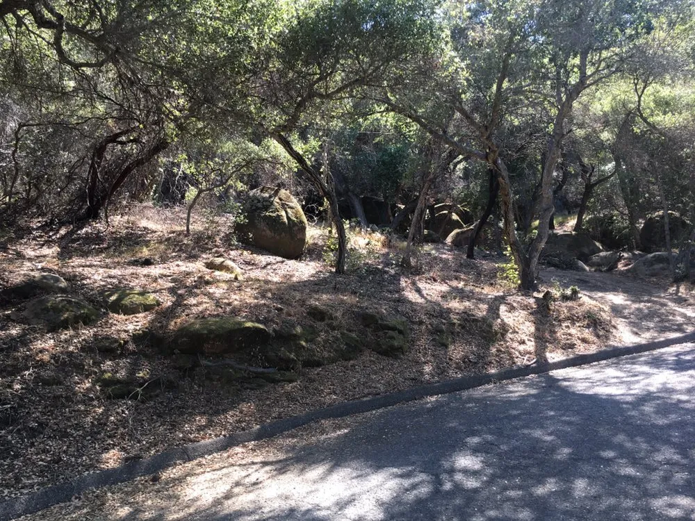 Trusted yard maintenance for homes across Santa Barbara, CA - Central Coast Brush Clearing