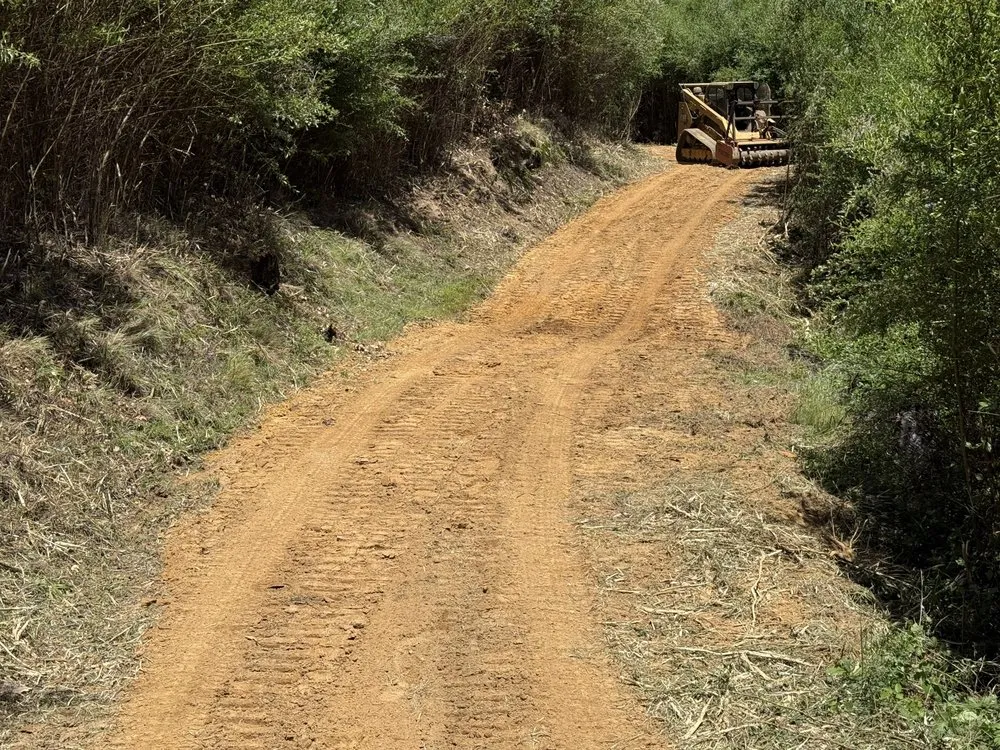 Local residential landscaping in Capitola, CA by Central Coast Land Services