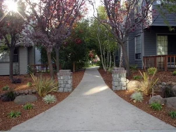 Trusted outdoor landscaping for beautiful yards across Soquel, CA - Central Coast Landscape and Maintenance